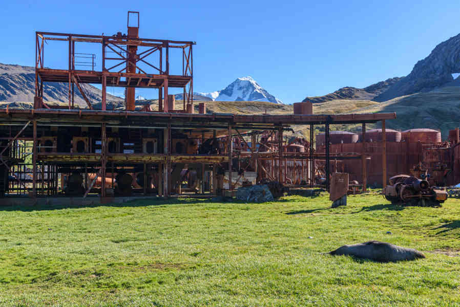 Islas Georgias del Sur 052 - Grytviken - estación ballenera abandonada.jpg